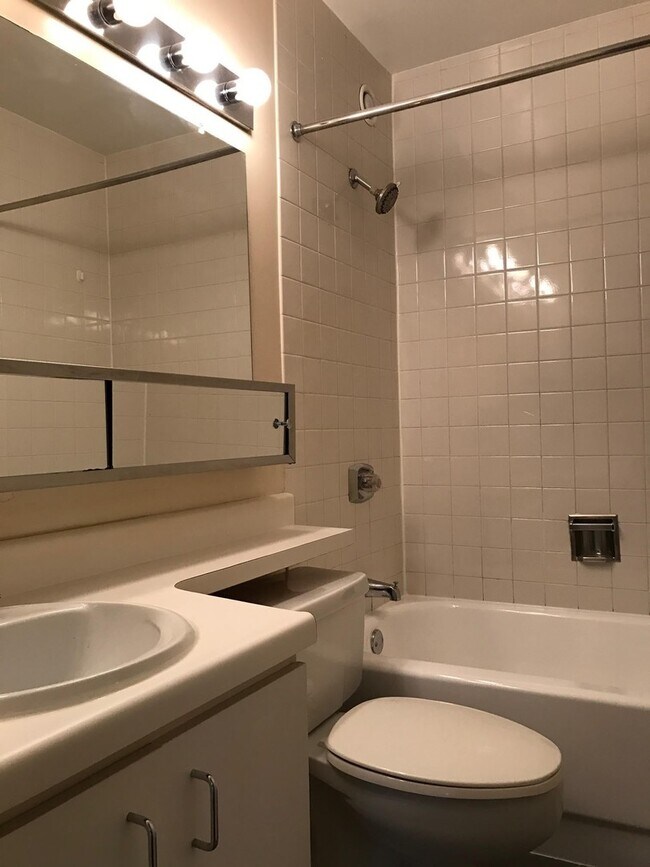 Building Photo - Nice one bedroom in Streeterville
