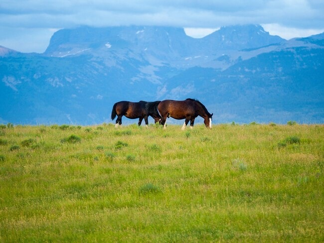 Building Photo - Modern 3-Bedroom Townhome in the Heart of ...