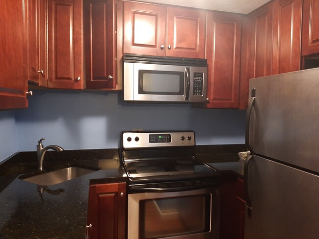 Kitchen - 230 Willard St