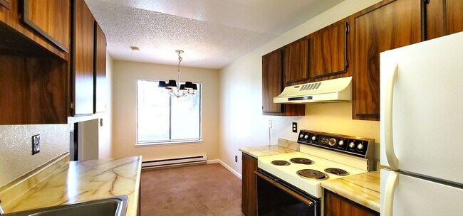 Building Photo - Large one bedroom one bath ground-floor unit with patio.