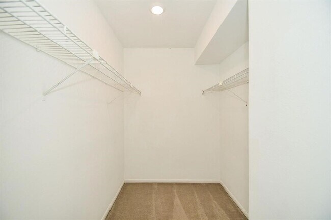 Building Photo - 3150 Walnut Bend Ln