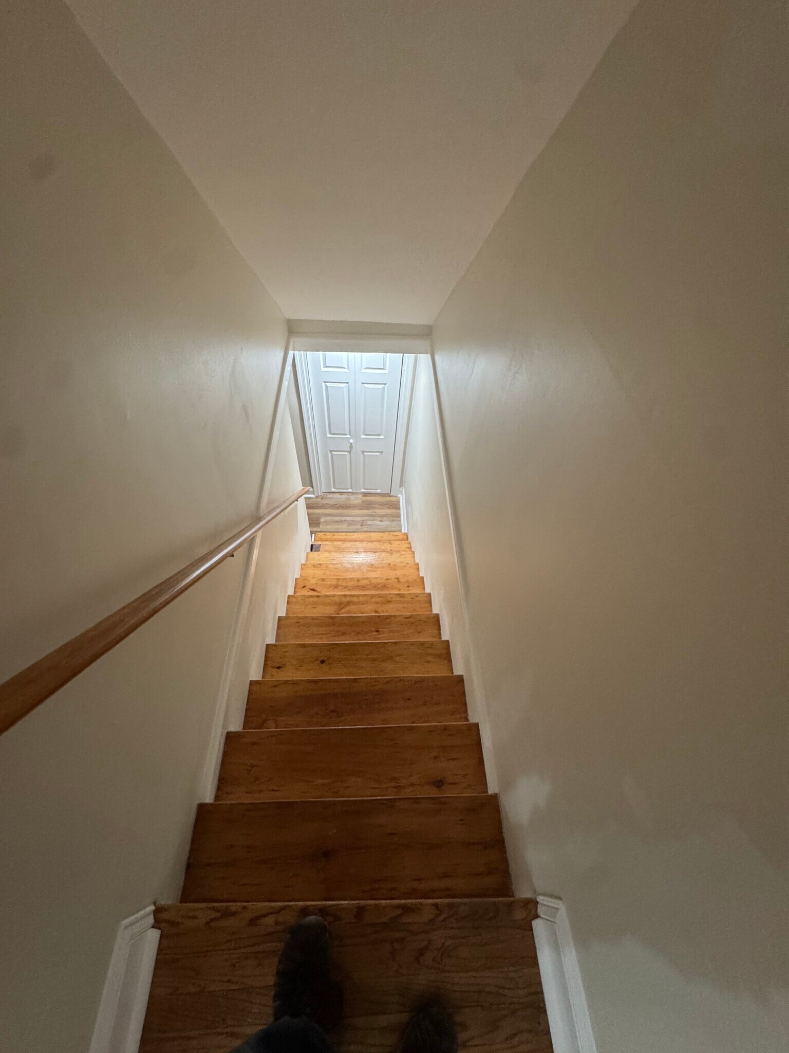 Downstairs to basement & laundry - 333 Mary St