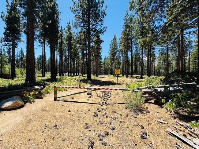 Building Photo - 3 bed 2 bath home for rent in South Lake Tahoe