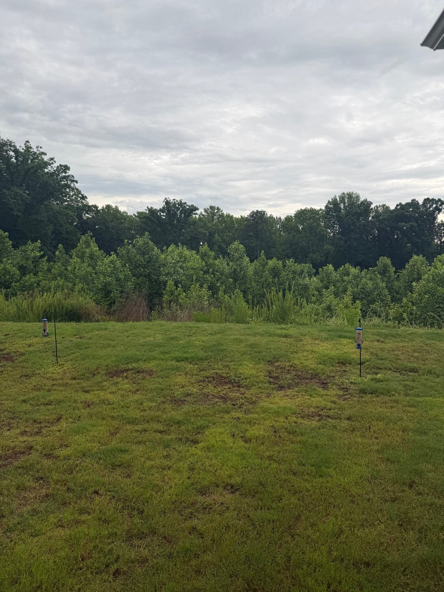 Building Photo - 225 Hickory Grv Ln