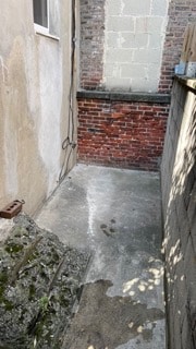 Yard - 1130 Dickinson St