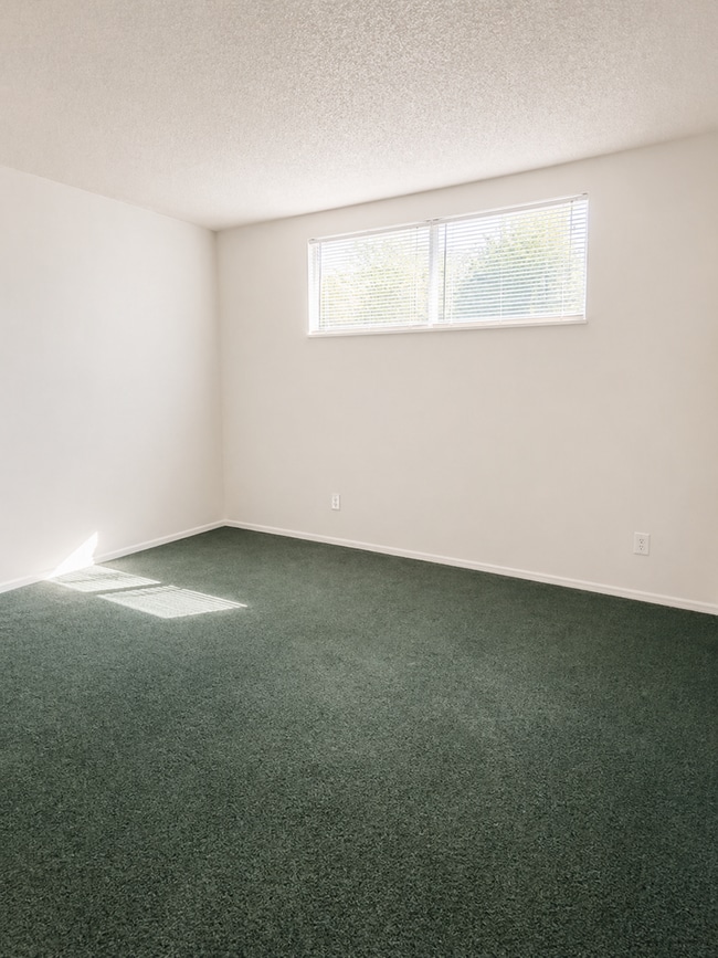 Building Photo - Welcome to Tampa Racquet Club – Where Comfort Meets Convenience!