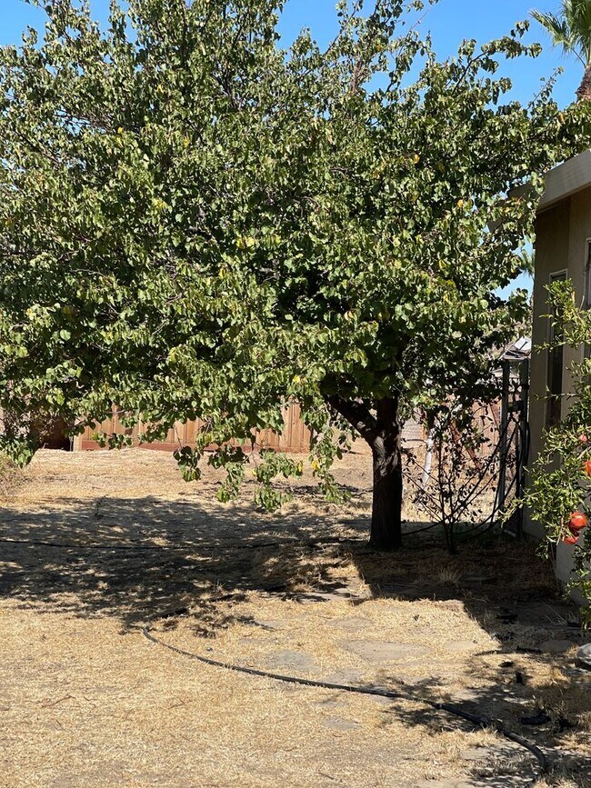 Building Photo - 5-Bedroom, 3-Bathroom Home for Rent on 1-A...