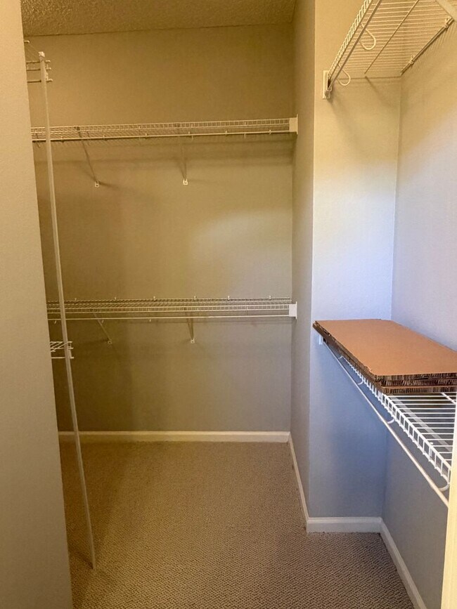 Building Photo - Beautiful Home in Sun City - Freshly Painted, New Flooring!