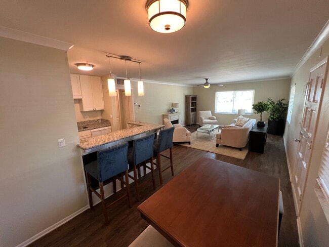 Interior Photo - 131 41st Ave N, St Petersburg, FL 33703