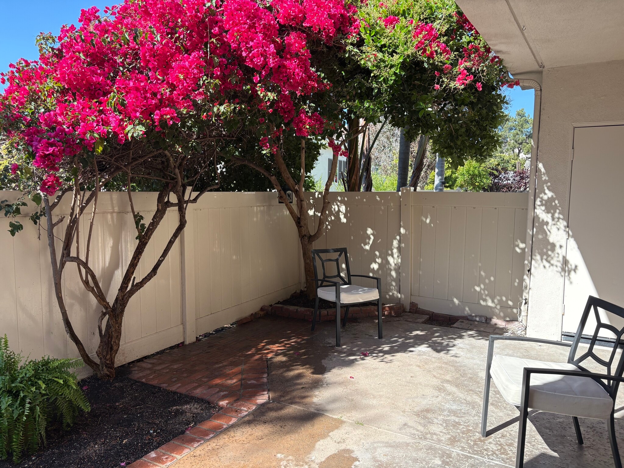 Building Photo - 24545 El Alicante