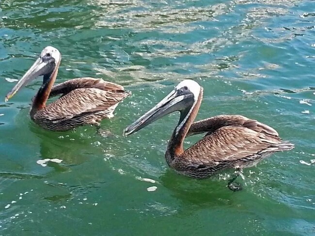 Building Photo - 4280 55th St