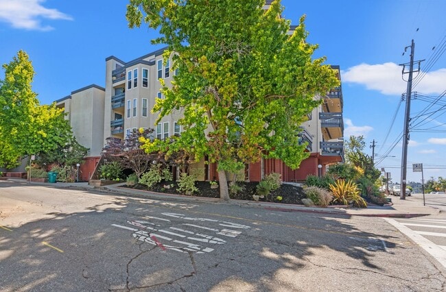 Building Photo - Modern Sanctuary with High-End Upgrades