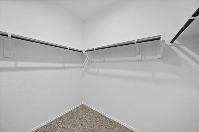 Building Photo - 4905 Blue Beetle Rdg Dr