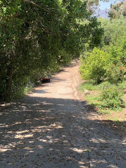 Building Photo - 1734 Topanga Skyline Dr