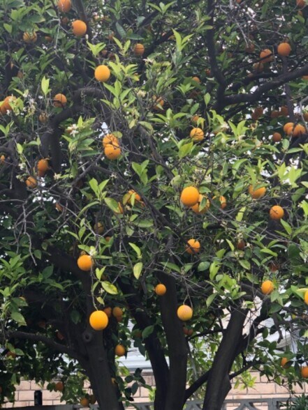 Building Photo - 23330 Victory Blvd