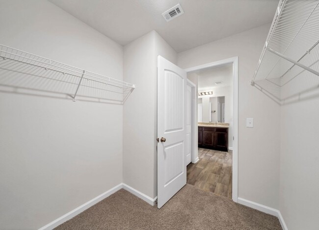 Building Photo - 1035 Limpkin St