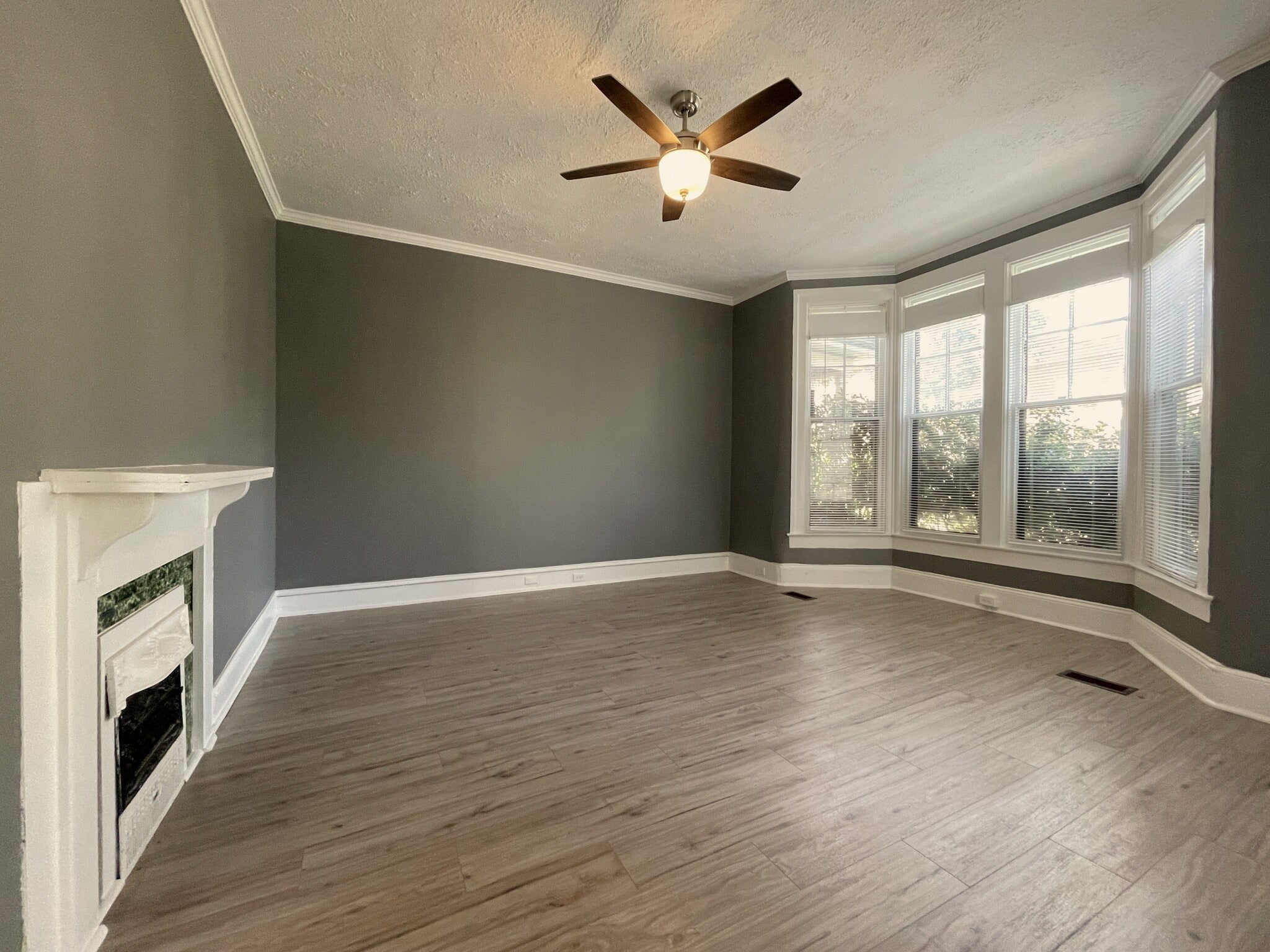 Living Room - 419 W Gray St