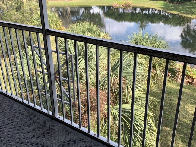 Building Photo - One Bedroom For Rent in New Tampa!