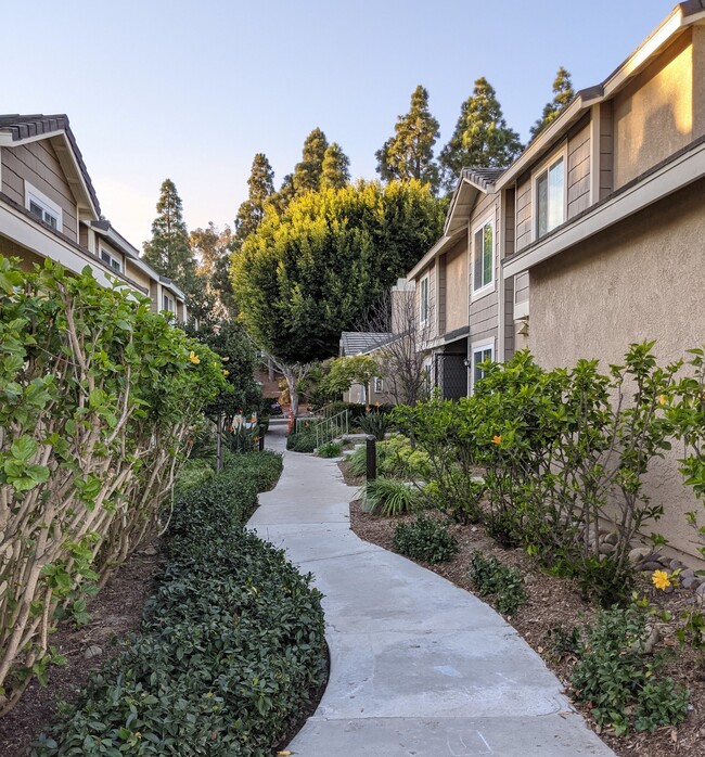 Building Photo - 3617 Caminito Carmel Landing