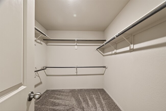 Building Photo - 23506 Umbrella Pine Dr