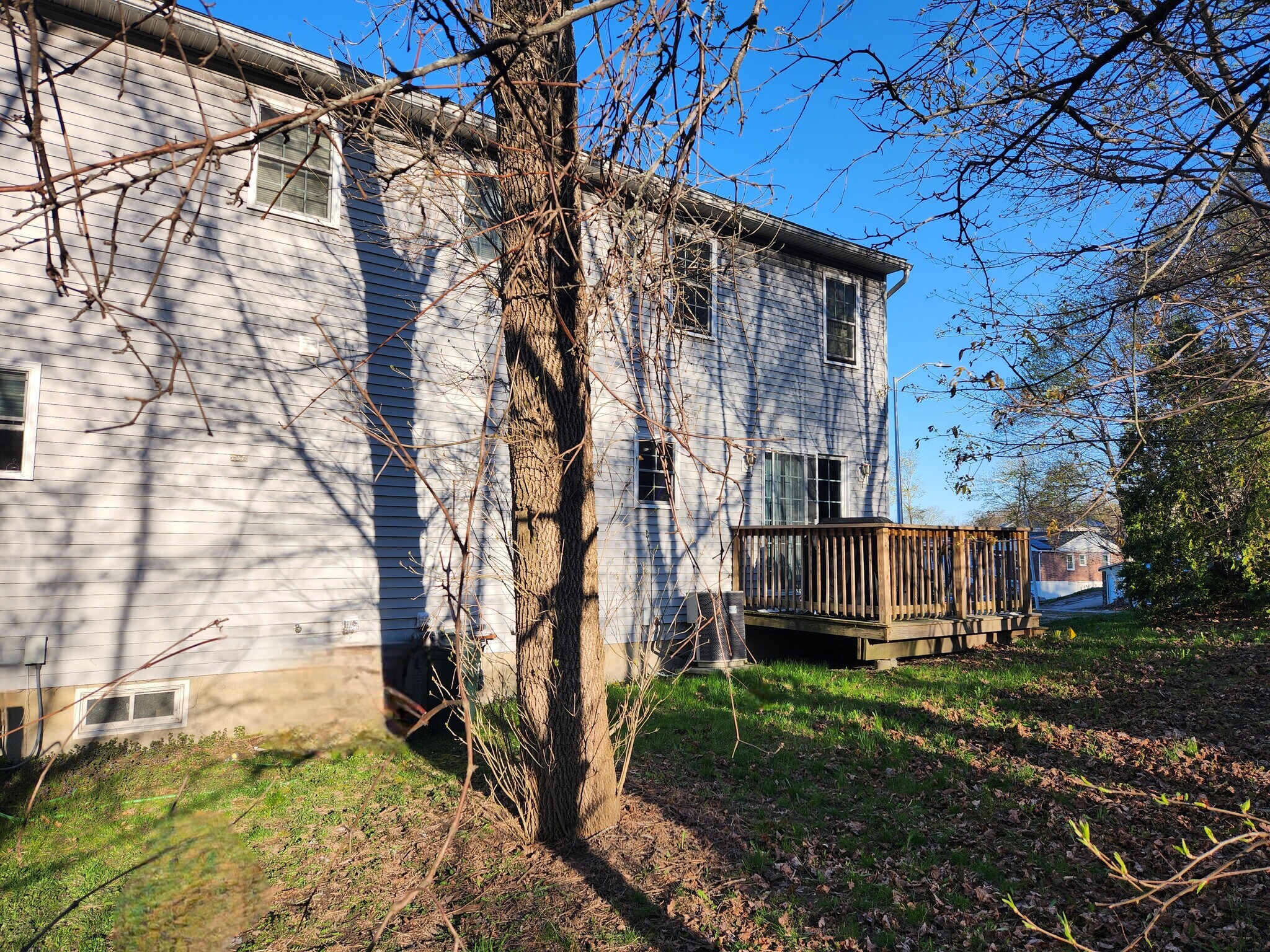 Bacj - 1 Rosamond St