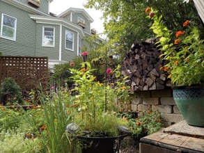 Building Photo - 13 Essex St