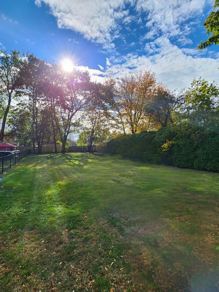 Backyard - 331 Elm St