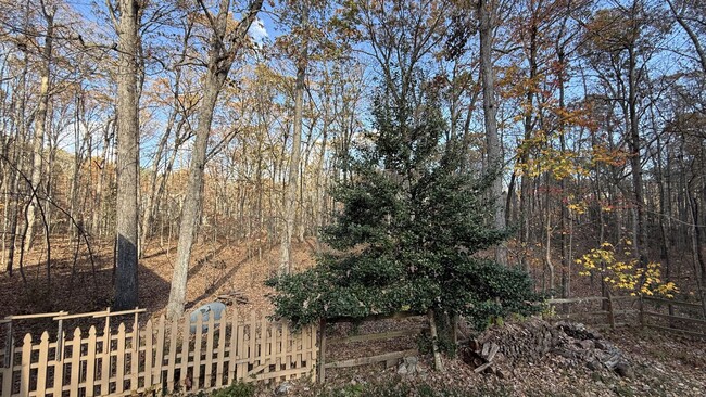 Building Photo - House on 5 Wooded Acres in Spotsylvania