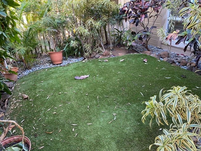 Building Photo - South Pointe Kihei Two Bedroom