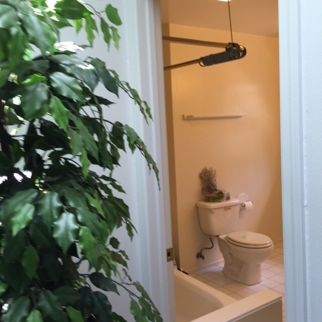 Building Photo - Greenwood Duplex