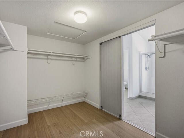 Building Photo - 5142 Cellini Dr
