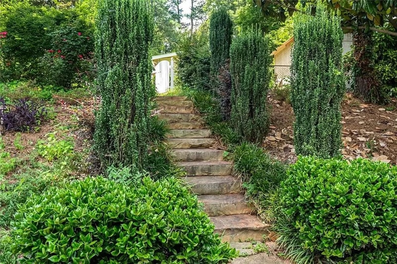 Building Photo - 2644 Valmar Dr