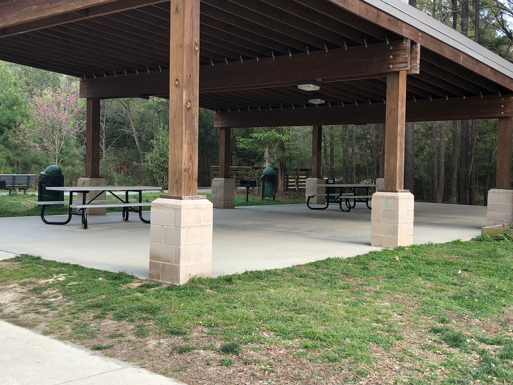 Picnic area - 105 Dove St
