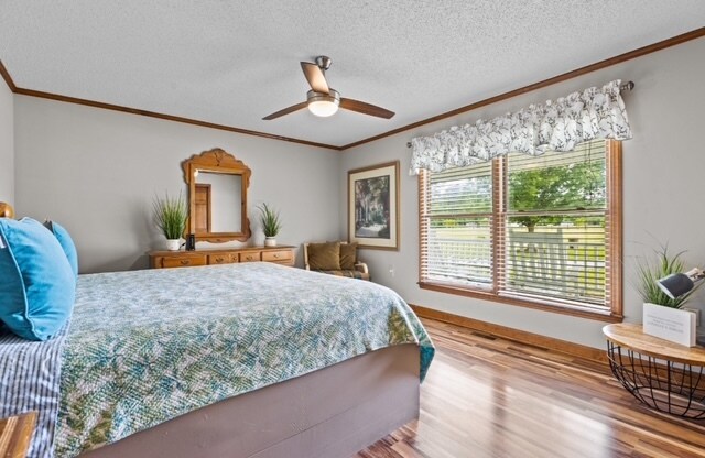 Building Photo - 2104 Las Flores Ln