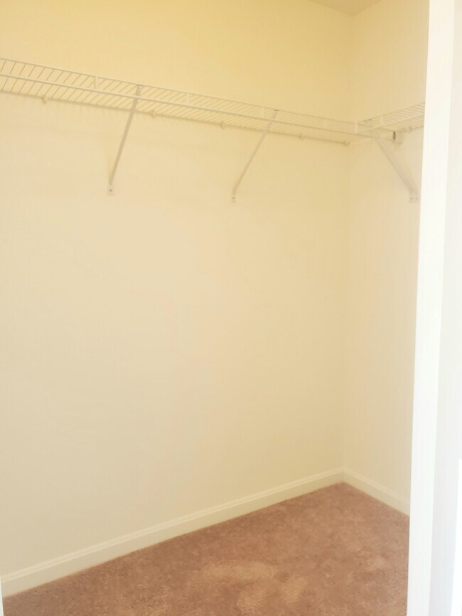 Building Photo - 4480 Market Commons Dr