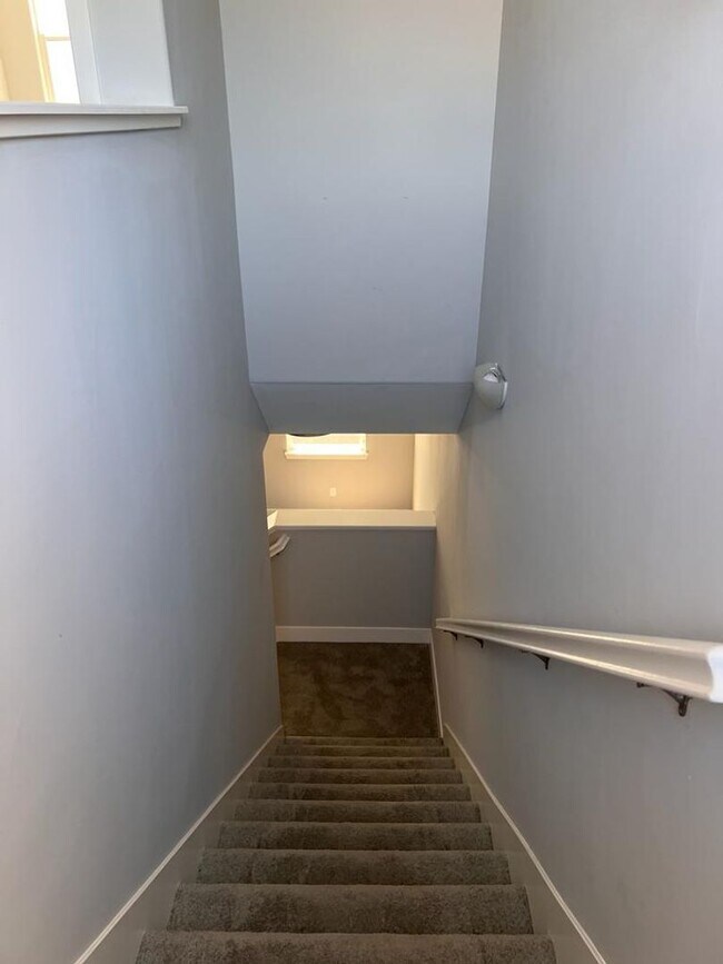 Building Photo - 1010 Mud Pie Ln