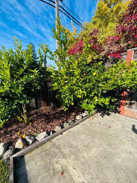 Building Photo - 2913 Carissa Ct