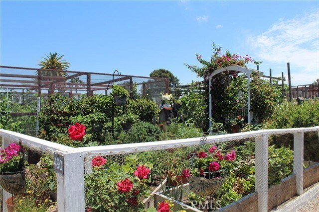Building Photo - 3015 Via Buena Vis