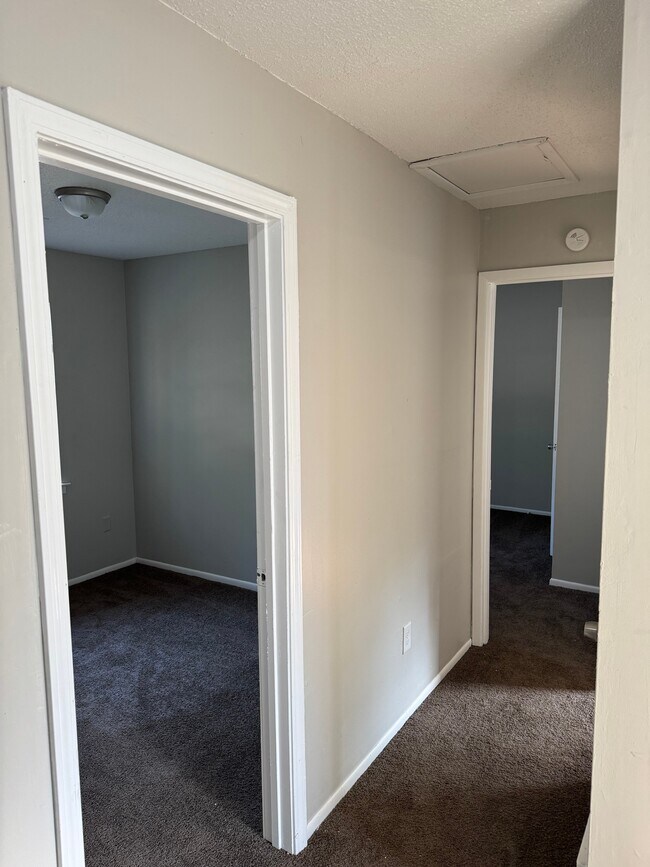 Building Photo - 3053 St Cloud Pl