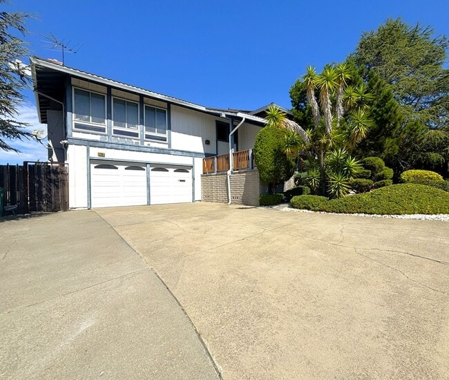 Primary Photo - Hayward Hills Home is beautiful location, ...