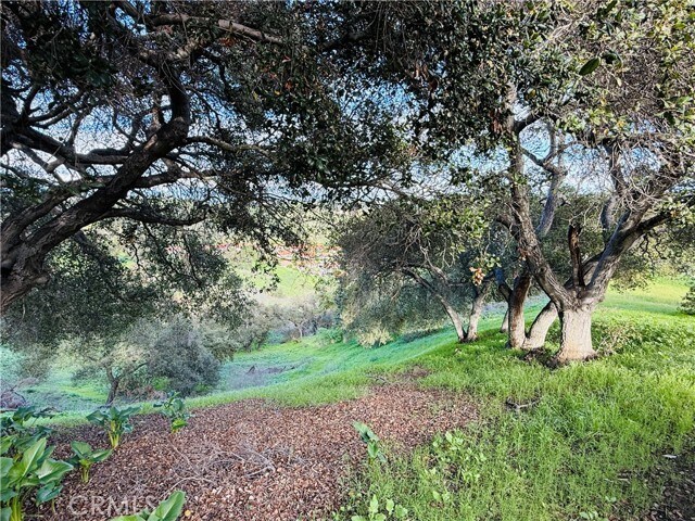 Building Photo - 20977 Canyon Ridge Rd