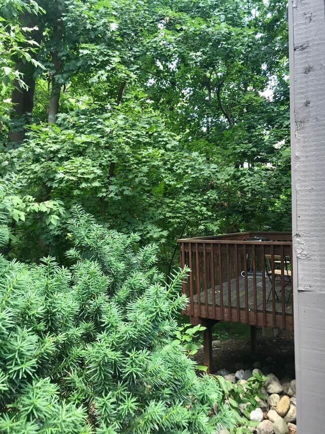 Building Photo - 106 Tulip Tree Ct