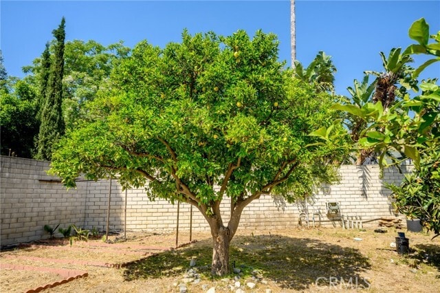 Building Photo - 1635 Grandview Ave