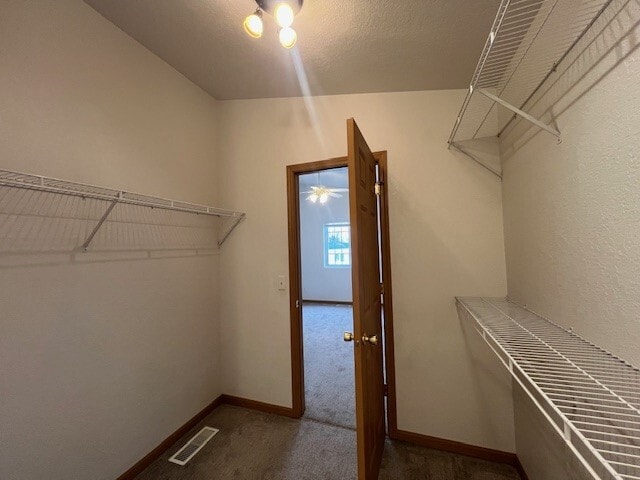 Building Photo - 3436 Kyle St