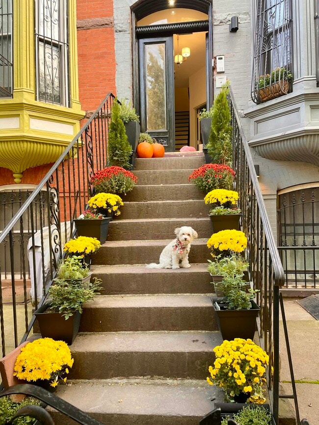 Building Photo - 908 Sterling Pl