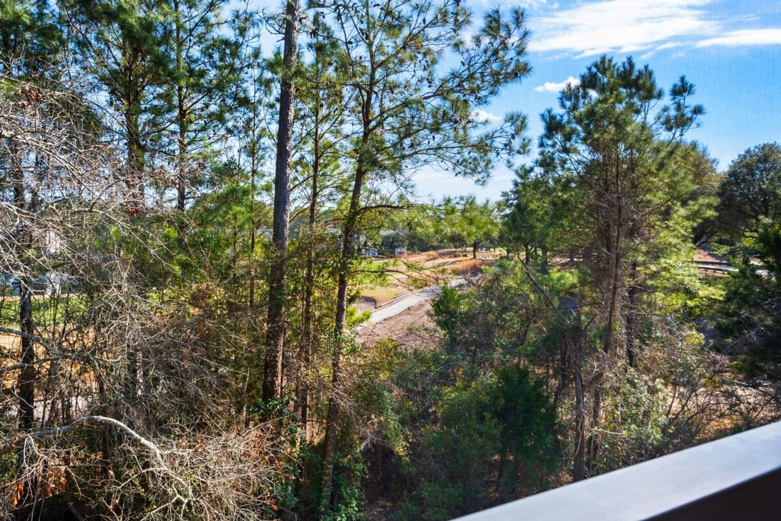 Building Photo - 598 Blue Stem Dr