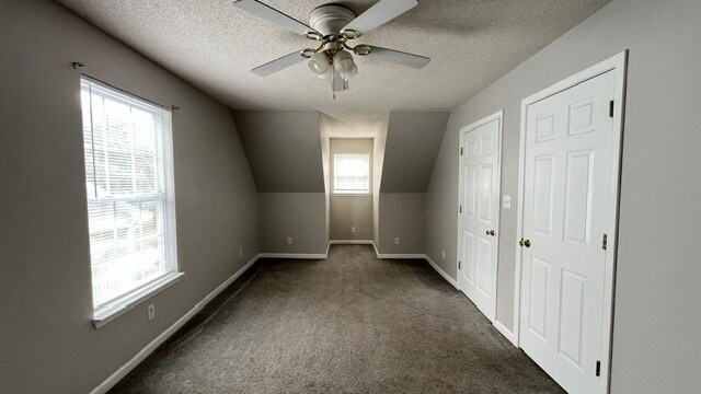 Building Photo - 3117 Holly Brook Cir