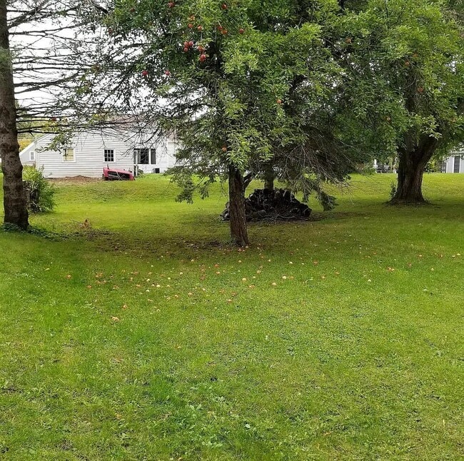 Building Photo - 509 S Oxford Ave