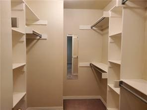 Building Photo - 2934 E Sterling Ct