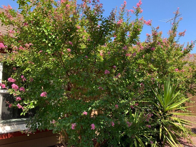 Building Photo - GRANITE BAY ~ HOME FOR RENT!